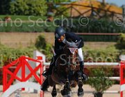 QUONDAM CASINO CampITA2013- S5 9334 : CASINO, Campionati Italiani 2013, Cattolica, Horse Riviera Resort, QUONDAM GREGORIO, foto di Stefano Secchi ©