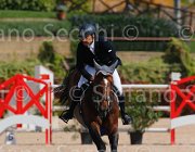 QUONDAM CASINO CampITA2013- S5 9335 : CASINO, Campionati Italiani 2013, Cattolica, Horse Riviera Resort, QUONDAM GREGORIO, foto di Stefano Secchi ©
