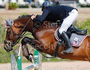 QUONDAM CASINO CampITA2013- S5 9338 : CASINO, Campionati Italiani 2013, Cattolica, Horse Riviera Resort, QUONDAM GREGORIO, foto di Stefano Secchi ©