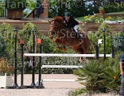 RIFFESER GOLITZU CampITA2013- S5 0971 : Campionati Italiani 2013, Cattolica, GOLITZU, Horse Riviera Resort, RIFFESER ANDREA, foto di Stefano Secchi ©