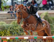 RIFFESER GOLITZU CampITA2013- S5 0976 : Campionati Italiani 2013, Cattolica, GOLITZU, Horse Riviera Resort, RIFFESER ANDREA, foto di Stefano Secchi ©