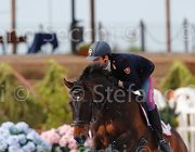 RISO CHACONNE CampITA2013- S5 1083 : CHACONNE, Campionati Italiani 2013, Cattolica, Horse Riviera Resort, RISO FEDERICO, foto di Stefano Secchi ©