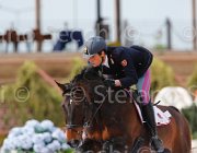 RISO CHACONNE CampITA2013- S5 1084 : CHACONNE, Campionati Italiani 2013, Cattolica, Horse Riviera Resort, RISO FEDERICO, foto di Stefano Secchi ©