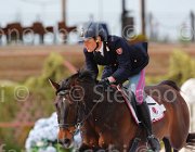 RISO CHACONNE CampITA2013- S5 1085 : CHACONNE, Campionati Italiani 2013, Cattolica, Horse Riviera Resort, RISO FEDERICO, foto di Stefano Secchi ©