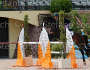 RISO CHACONNE CampITA2013- S5 1086 : CHACONNE, Campionati Italiani 2013, Cattolica, Horse Riviera Resort, RISO FEDERICO, foto di Stefano Secchi ©