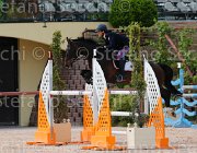 RISO CHACONNE CampITA2013- S5 1087 : CHACONNE, Campionati Italiani 2013, Cattolica, Horse Riviera Resort, RISO FEDERICO, foto di Stefano Secchi ©
