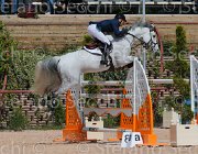 RIZZI THETIS CampITA2013- S5 0006 : Campionati Italiani 2013, Cattolica, Horse Riviera Resort, RIZZI FILIPPO, THETIS, foto di Stefano Secchi ©