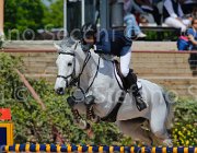 RIZZI THETIS CampITA2013- S5 0008 : Campionati Italiani 2013, Cattolica, Horse Riviera Resort, RIZZI FILIPPO, THETIS, foto di Stefano Secchi ©
