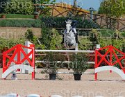 RIZZI THETIS CampITA2013- S5 9989 : Campionati Italiani 2013, Cattolica, Horse Riviera Resort, RIZZI FILIPPO, THETIS, foto di Stefano Secchi ©
