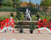 RIZZI THETIS CampITA2013- S5 9990 : Campionati Italiani 2013, Cattolica, Horse Riviera Resort, RIZZI FILIPPO, THETIS, foto di Stefano Secchi ©