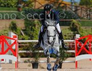 RIZZI THETIS CampITA2013- S5 9999 : Campionati Italiani 2013, Cattolica, Horse Riviera Resort, RIZZI FILIPPO, THETIS, foto di Stefano Secchi ©