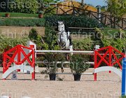 ROBERTI MOONRAKER CampITA2013- S5 9286 : Campionati Italiani 2013, Cattolica, Horse Riviera Resort, MOONRAKER, ROBERTI MANUEL, foto di Stefano Secchi ©