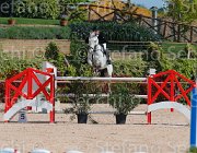 ROBERTI MOONRAKER CampITA2013- S5 9287 : Campionati Italiani 2013, Cattolica, Horse Riviera Resort, MOONRAKER, ROBERTI MANUEL, foto di Stefano Secchi ©