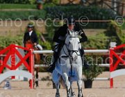 ROBERTI MOONRAKER CampITA2013- S5 9291 : Campionati Italiani 2013, Cattolica, Horse Riviera Resort, MOONRAKER, ROBERTI MANUEL, foto di Stefano Secchi ©