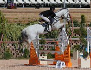 ROBERTI MOONRAKER CampITA2013- S5 9298 : Campionati Italiani 2013, Cattolica, Horse Riviera Resort, MOONRAKER, ROBERTI MANUEL, foto di Stefano Secchi ©