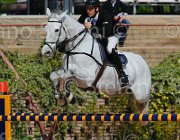 ROBERTI MOONRAKER CampITA2013- S5 9300 : Campionati Italiani 2013, Cattolica, Horse Riviera Resort, MOONRAKER, ROBERTI MANUEL, foto di Stefano Secchi ©