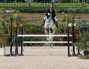 SALINETTI ITALGO CampITA2013- S5 1071 : Campionati Italiani 2013, Cattolica, Horse Riviera Resort, ITALGO, SALINETTI ALFREDO, foto di Stefano Secchi ©