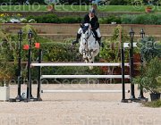 SALINETTI ITALGO CampITA2013- S5 1072 : Campionati Italiani 2013, Cattolica, Horse Riviera Resort, ITALGO, SALINETTI ALFREDO, foto di Stefano Secchi ©
