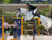 SALINETTI ITALGO CampITA2013- S5 1078 : Campionati Italiani 2013, Cattolica, Horse Riviera Resort, ITALGO, SALINETTI ALFREDO, foto di Stefano Secchi ©