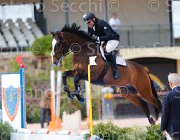 SALZANO VLADIMIR CampITA2013- S5 0674 : Campionati Italiani 2013, Cattolica, Horse Riviera Resort, SALZANO FRANCESCO, VLADIMIR G, foto di Stefano Secchi ©