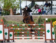 SALZANO VLADIMIR CampITA2013- S5 0681 : Campionati Italiani 2013, Cattolica, Horse Riviera Resort, SALZANO FRANCESCO, VLADIMIR G, foto di Stefano Secchi ©
