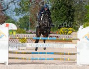 SANFELICE ASETH ItaAss2013- S5 1289 : ASETH S., Campionati Italiani 2013, Cattolica, Horse Riviera Resort, SANFELICE ANTONIO, foto di Stefano Secchi ©