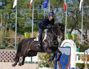 SANFELICE ASETH ItaAss2013- S5 1293 : ASETH S., Campionati Italiani 2013, Cattolica, Horse Riviera Resort, SANFELICE ANTONIO, foto di Stefano Secchi ©