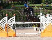 SANFELICE ASETH ItaAss2013- S5 1296 : ASETH S., Campionati Italiani 2013, Cattolica, Horse Riviera Resort, SANFELICE ANTONIO, foto di Stefano Secchi ©