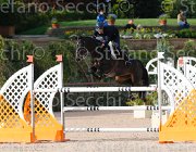 SANFELICE ASETH ItaAss2013- S5 1297 : ASETH S., Campionati Italiani 2013, Cattolica, Horse Riviera Resort, SANFELICE ANTONIO, foto di Stefano Secchi ©