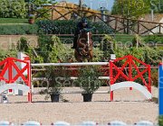 SANFELICE INDIANA CampITA2013- S5 9503 : Campionati Italiani 2013, Cattolica, Horse Riviera Resort, INDIANA DEL TERRICCIO, SANFELICE ANTONIO, foto di Stefano Secchi ©