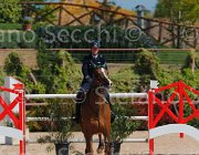 SANFELICE INDIANA CampITA2013- S5 9504 : Campionati Italiani 2013, Cattolica, Horse Riviera Resort, INDIANA DEL TERRICCIO, SANFELICE ANTONIO, foto di Stefano Secchi ©