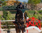 SANFELICE INDIANA CampITA2013- S5 9508 : Campionati Italiani 2013, Cattolica, Horse Riviera Resort, INDIANA DEL TERRICCIO, SANFELICE ANTONIO, foto di Stefano Secchi ©