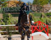 SANFELICE INDIANA CampITA2013- S5 9509 : Campionati Italiani 2013, Cattolica, Horse Riviera Resort, INDIANA DEL TERRICCIO, SANFELICE ANTONIO, foto di Stefano Secchi ©