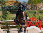 SANFELICE INDIANA CampITA2013- S5 9510 : Campionati Italiani 2013, Cattolica, Horse Riviera Resort, INDIANA DEL TERRICCIO, SANFELICE ANTONIO, foto di Stefano Secchi ©