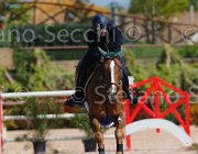 SANFELICE INDIANA CampITA2013- S5 9511 : Campionati Italiani 2013, Cattolica, Horse Riviera Resort, INDIANA DEL TERRICCIO, SANFELICE ANTONIO, foto di Stefano Secchi ©
