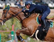 SANFELICE INDIANA CampITA2013- S5 9515 : Campionati Italiani 2013, Cattolica, Horse Riviera Resort, INDIANA DEL TERRICCIO, SANFELICE ANTONIO, foto di Stefano Secchi ©