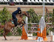 SANFELICE INDIANA CampITA2013- S5 9516 : Campionati Italiani 2013, Cattolica, Horse Riviera Resort, INDIANA DEL TERRICCIO, SANFELICE ANTONIO, foto di Stefano Secchi ©