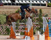 SANFELICE INDIANA CampITA2013- S5 9519 : Campionati Italiani 2013, Cattolica, Horse Riviera Resort, INDIANA DEL TERRICCIO, SANFELICE ANTONIO, foto di Stefano Secchi ©