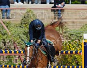 SANFELICE INDIANA CampITA2013- S5 9522 : Campionati Italiani 2013, Cattolica, Horse Riviera Resort, INDIANA DEL TERRICCIO, SANFELICE ANTONIO, foto di Stefano Secchi ©