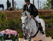 SANTUCCI CASSIOPY CampITA2013- S5 1164 : CASSIOPY, Campionati Italiani 2013, Cattolica, Horse Riviera Resort, SANTUCCI FRANCO, foto di Stefano Secchi ©