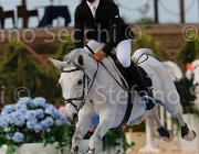 SANTUCCI CASSIOPY CampITA2013- S5 1167 : CASSIOPY, Campionati Italiani 2013, Cattolica, Horse Riviera Resort, SANTUCCI FRANCO, foto di Stefano Secchi ©