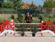 SANVITO NELAN CampITA2013- S5 0042 : Campionati Italiani 2013, Cattolica, Horse Riviera Resort, NELAN DU BERRY, SANVITO FULVIO, foto di Stefano Secchi ©