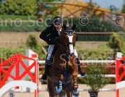 SANVITO NELAN CampITA2013- S5 0046 : Campionati Italiani 2013, Cattolica, Horse Riviera Resort, NELAN DU BERRY, SANVITO FULVIO, foto di Stefano Secchi ©