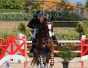 SANVITO NELAN CampITA2013- S5 0047 : Campionati Italiani 2013, Cattolica, Horse Riviera Resort, NELAN DU BERRY, SANVITO FULVIO, foto di Stefano Secchi ©