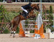 SANVITO NELAN CampITA2013- S5 0055 : Campionati Italiani 2013, Cattolica, Horse Riviera Resort, NELAN DU BERRY, SANVITO FULVIO, foto di Stefano Secchi ©