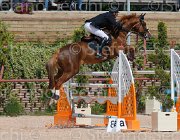 SANVITO NELAN CampITA2013- S5 0056 : Campionati Italiani 2013, Cattolica, Horse Riviera Resort, NELAN DU BERRY, SANVITO FULVIO, foto di Stefano Secchi ©