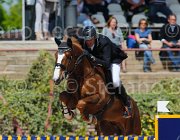 SANVITO NELAN CampITA2013- S5 0057 : Campionati Italiani 2013, Cattolica, Horse Riviera Resort, NELAN DU BERRY, SANVITO FULVIO, foto di Stefano Secchi ©