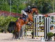 SASSARA WERNER CampITA2013- S5 9779 : Campionati Italiani 2013, Cattolica, Horse Riviera Resort, SASSARA MARCO, WERNER, foto di Stefano Secchi ©
