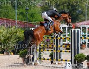 SASSARA WERNER CampITA2013- S5 9780 : Campionati Italiani 2013, Cattolica, Horse Riviera Resort, SASSARA MARCO, WERNER, foto di Stefano Secchi ©