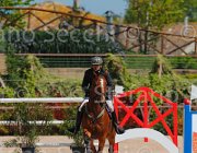SASSARA WERNER CampITA2013- S5 9783 : Campionati Italiani 2013, Cattolica, Horse Riviera Resort, SASSARA MARCO, WERNER, foto di Stefano Secchi ©